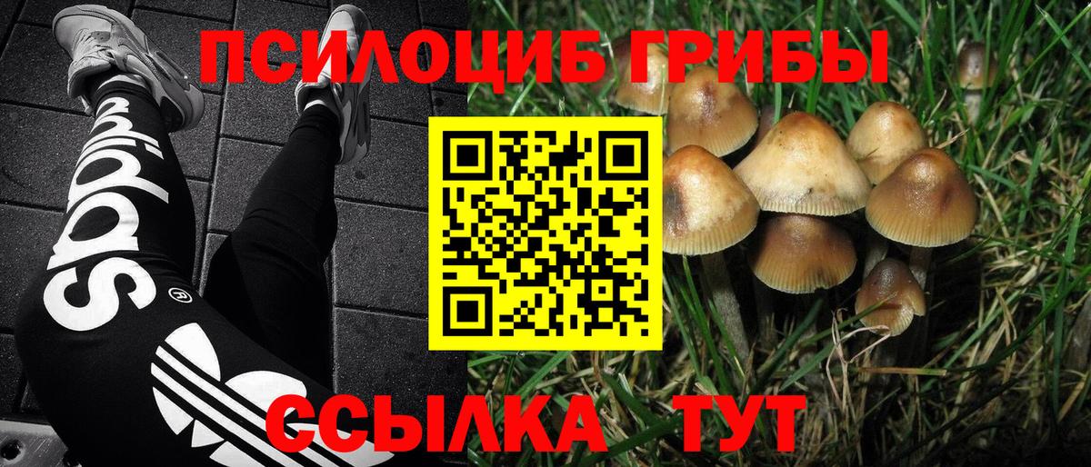Псилоцибиновые грибы мухоморы Тутаев