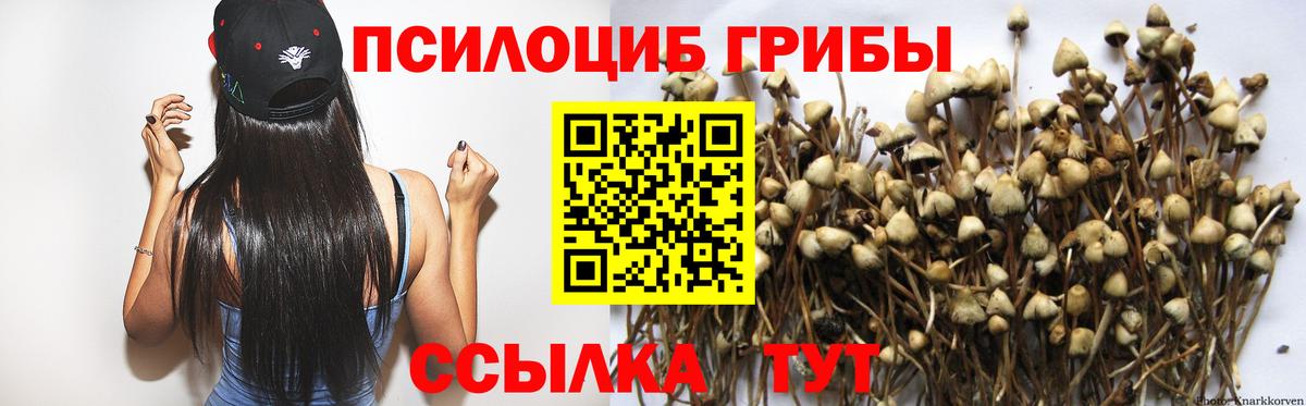 Тутаев  Галлюциногенные грибы прущие грибы  Вход с VPN 